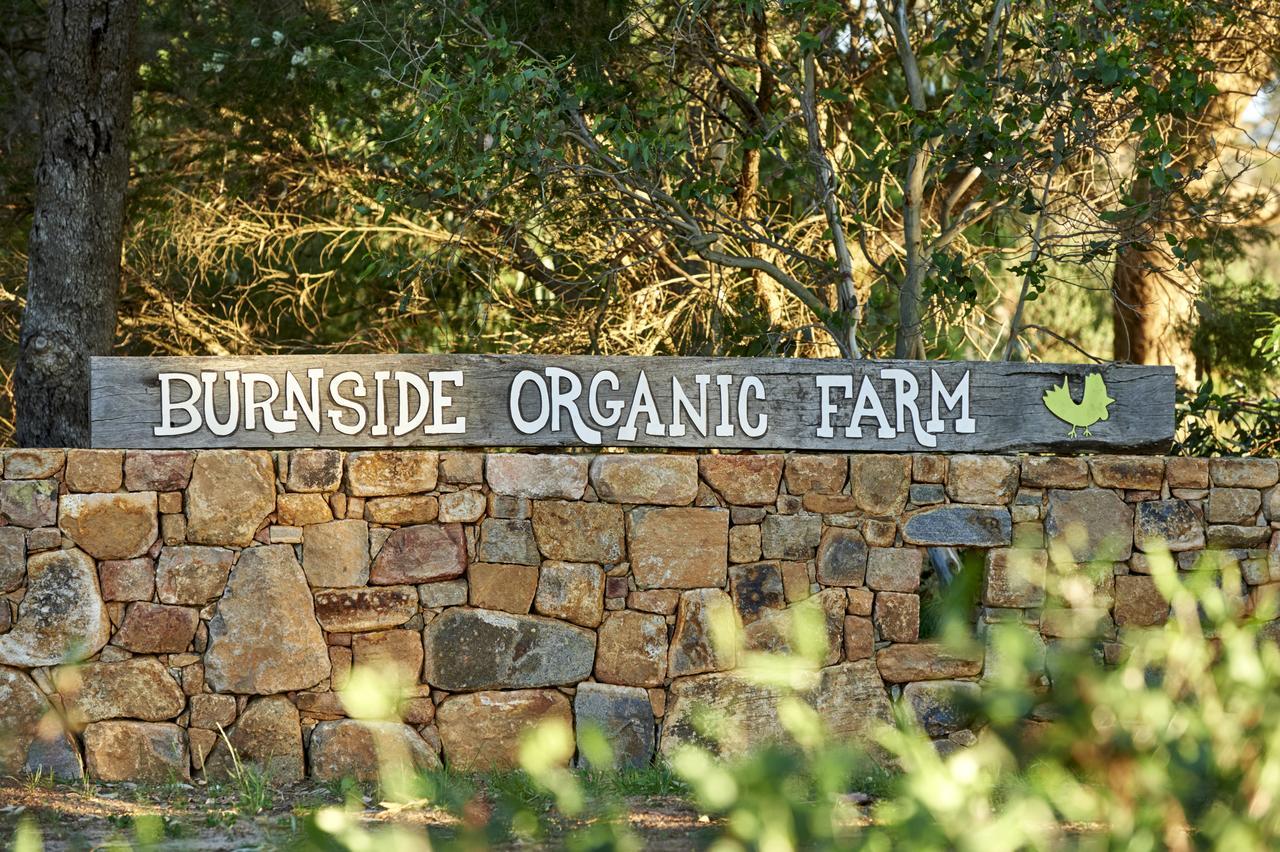 Burnside Organic Farm Villa Margaret River Eksteriør billede