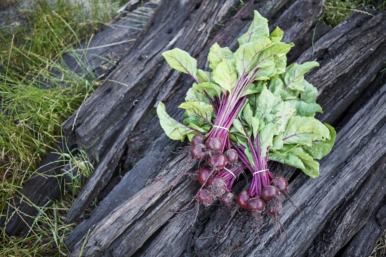 Burnside Organic Farm Villa Margaret River Eksteriør billede